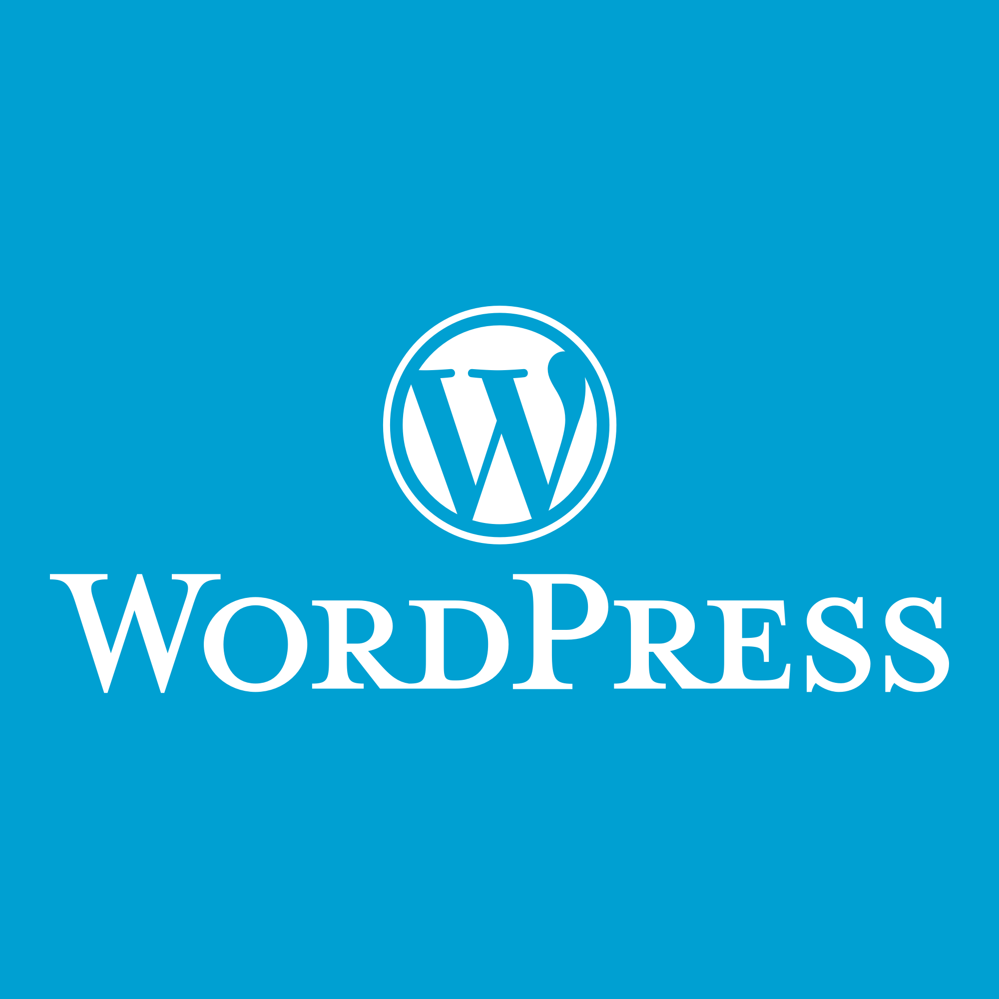 wordpress security